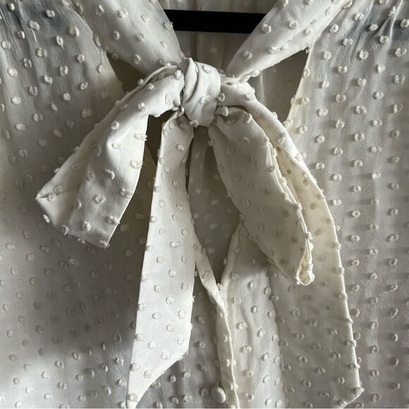 Women's Annie Griffin Cream Swiss Dot Tie Front Blouse - Picture 7 of 7
